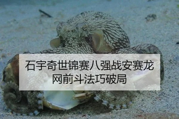 石宇奇世锦赛八强战安赛龙 网前斗法巧破局