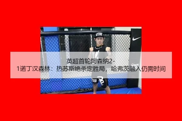 ying-chao-shou-lun-a-sen-na-nuo-ding-han-sen-lin-re-su-si-jue-sha-ding-sheng-ju-ha-fu-ci-rong-ru-reng-xu-shi-jian-2-268.jpg